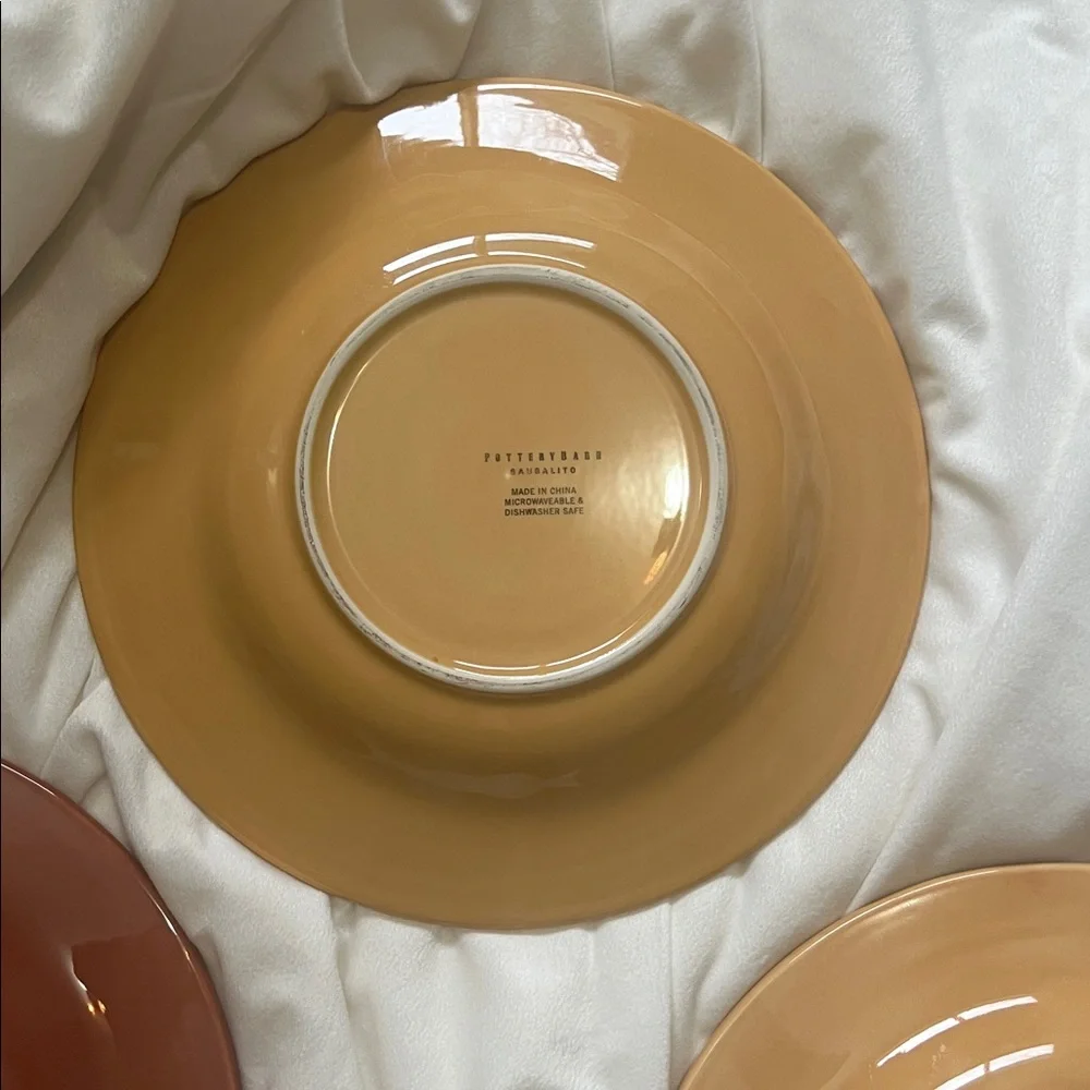 Pottery Barn Sausalito 4 Dinner Plates each 12 Inches each